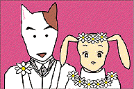 結婚式の写真